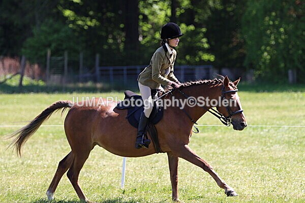 IMG_3947 - Working Hunter