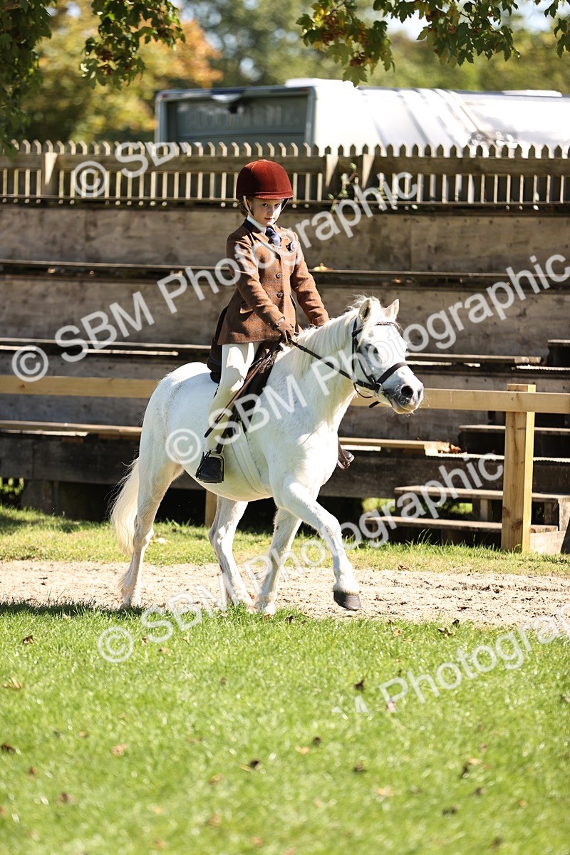 SBM_19348 - S3 - TSR Ridden Pony Showing
