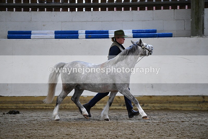 WJ5_5210 - Class 4 In hand M&M - small breeds