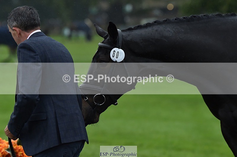 231018-120630-00085 - 060-COOKSTOWN.JACKSON-Alan.Nolan-TrotUp