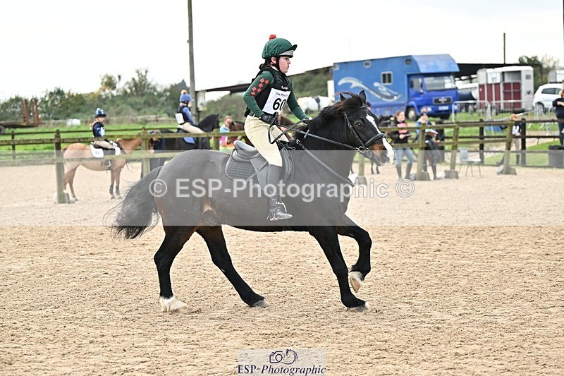 241110-124902-00761 - 50-55cm Arena Eventing