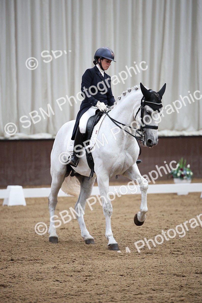 SBM_008059 - Class 12 - FEI PSG 14.46-15.50