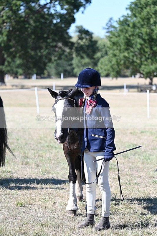 WJ7_1898 - Class 43 Best Six Legs (In hand)