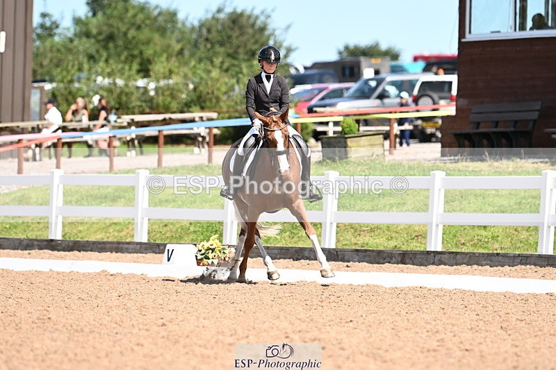 240816A-131618-05010 - 113-Ruby.Gumbley-Nova's.Golden.Dream