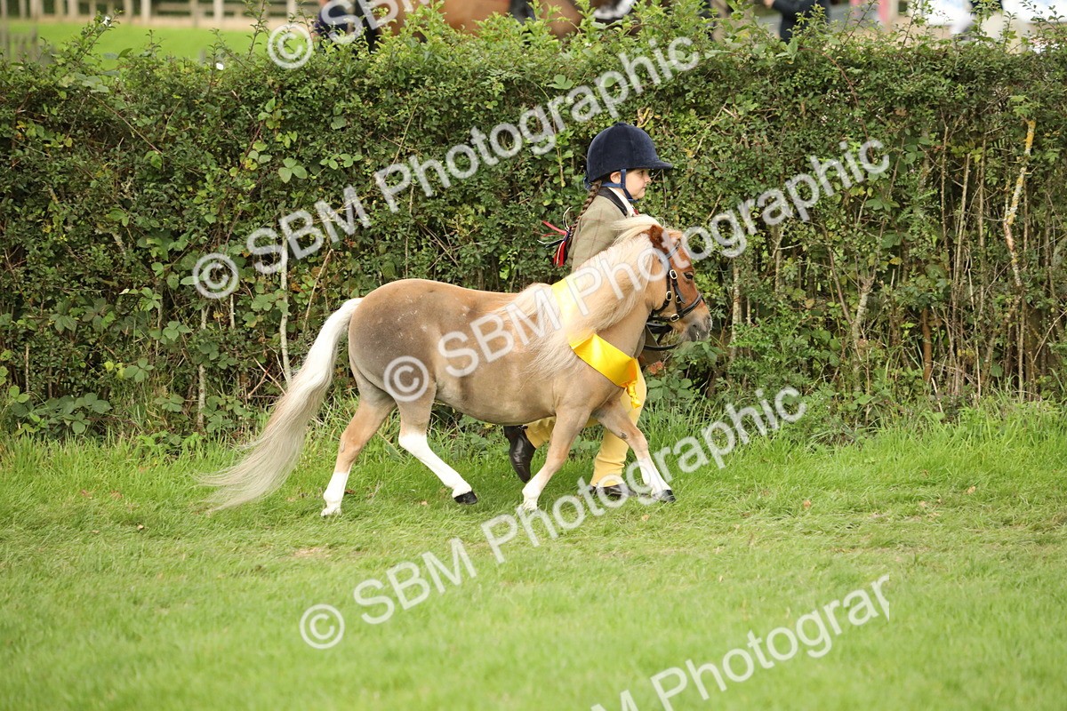 SBM_75345 - Equitation Supreme Championship