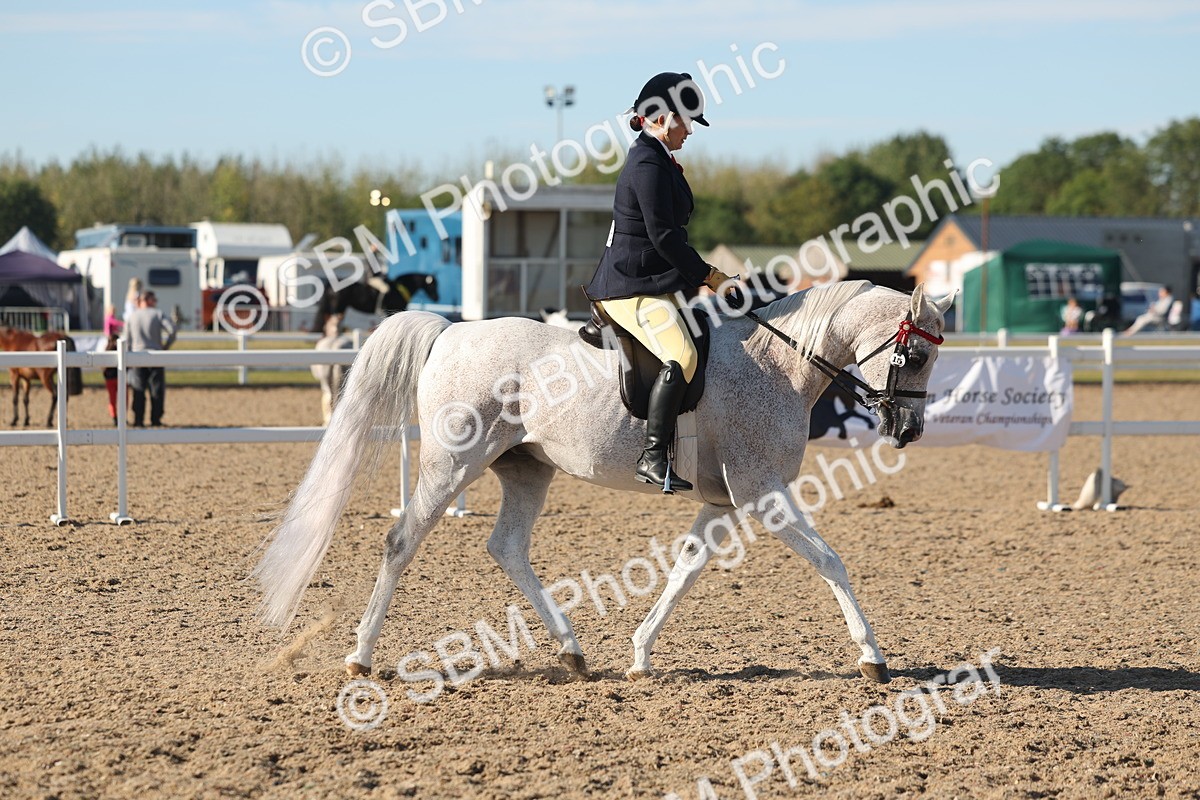 SBM_12179 - Class 303 - Ridden Pure Bred Horse Pony