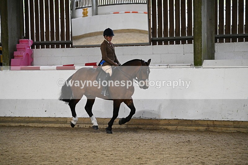 WJ7_4411 - Class 17 Ridden Cob