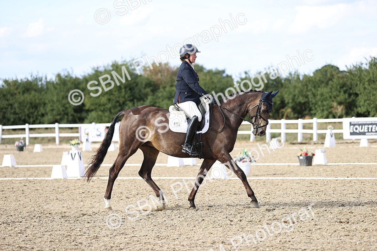 SBM_016121 - Class 5 - E5 Bronze  16.18.17.22