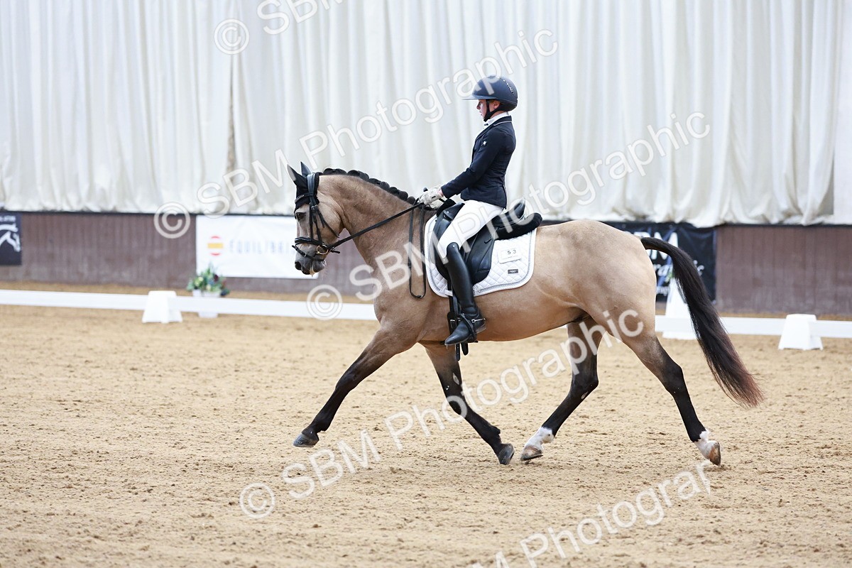 SBM_017226 - Class15 - FEI Pony