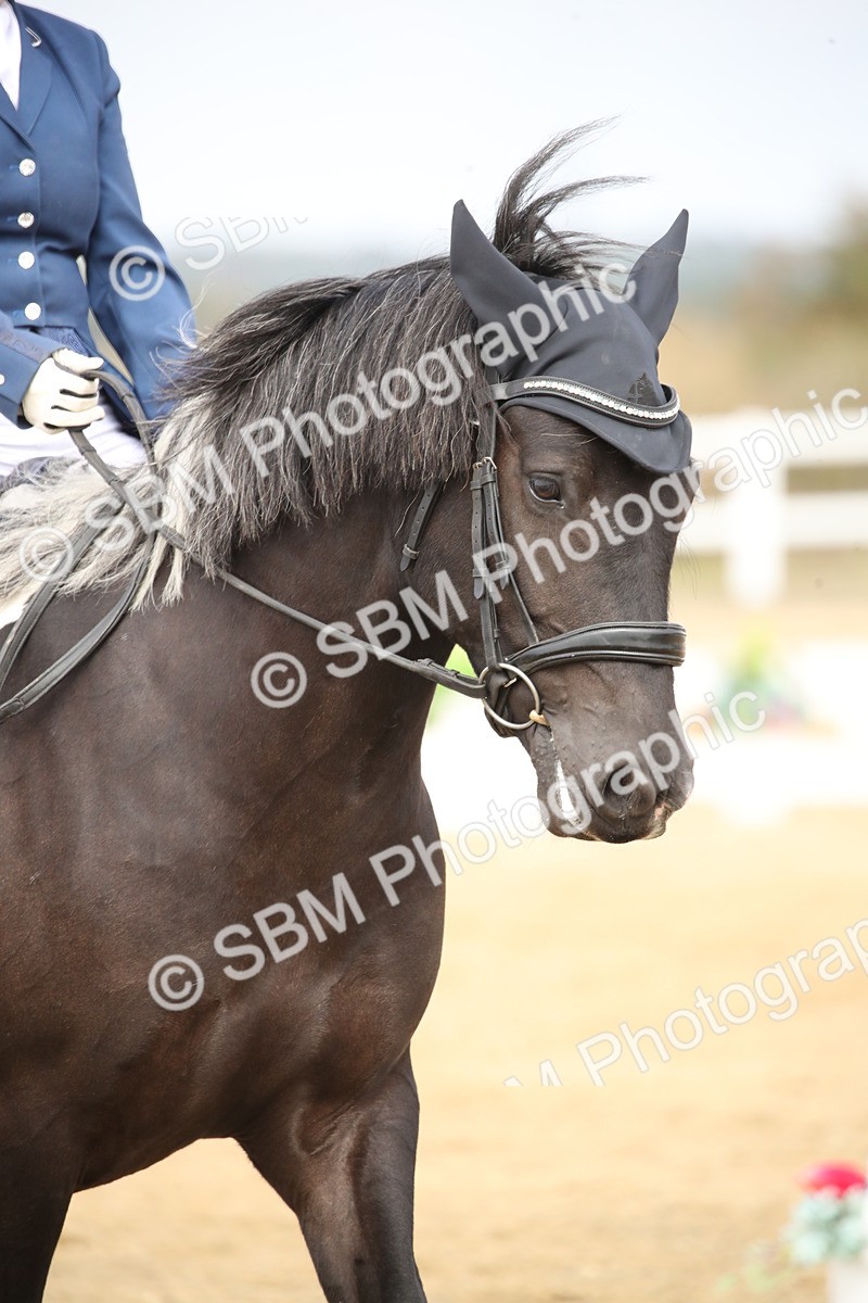 SBM_001244 - Class 2 - Pelim 5 - 11.36.12.32