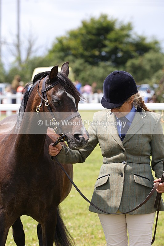 1X9A4787 - Class 35: Veteran In Hand