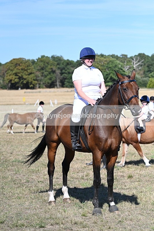 WJ7_1591 - Class 42 Most Handsome Gelding