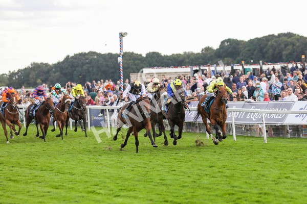 230824-Race 7-Treasure Time-8560 - Race 7 5.20pm Sky Bet Mile Handicap