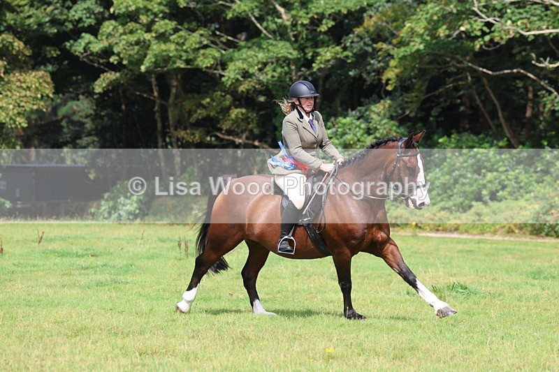 3E7A6107 - Working Hunter Championship