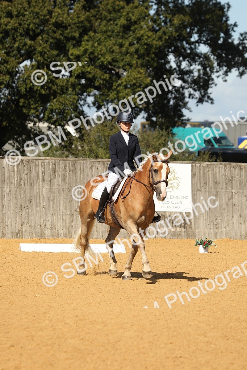 SBM_40540 - D21 - Junior Championship - Intro A
