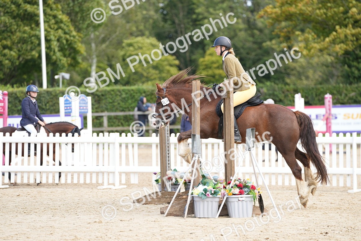 SBM_21318 - J49 - Open 50cm