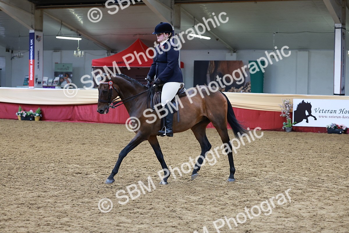 SBM_14948 - Class 108 - Ridden Retired Racehorse