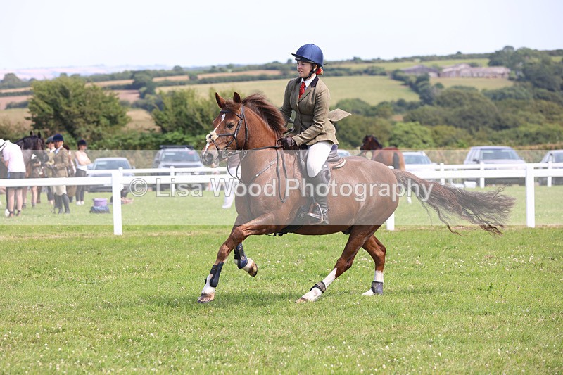 JPP_3686 - Class 23: Working Hunter 80cm