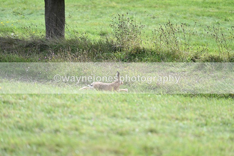 WJ7_7526 - Time 13:21 to 13:29