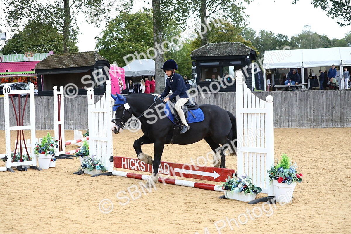 SBM_68194 - J3b - Mini Tour Junior Pony 40cm Championship