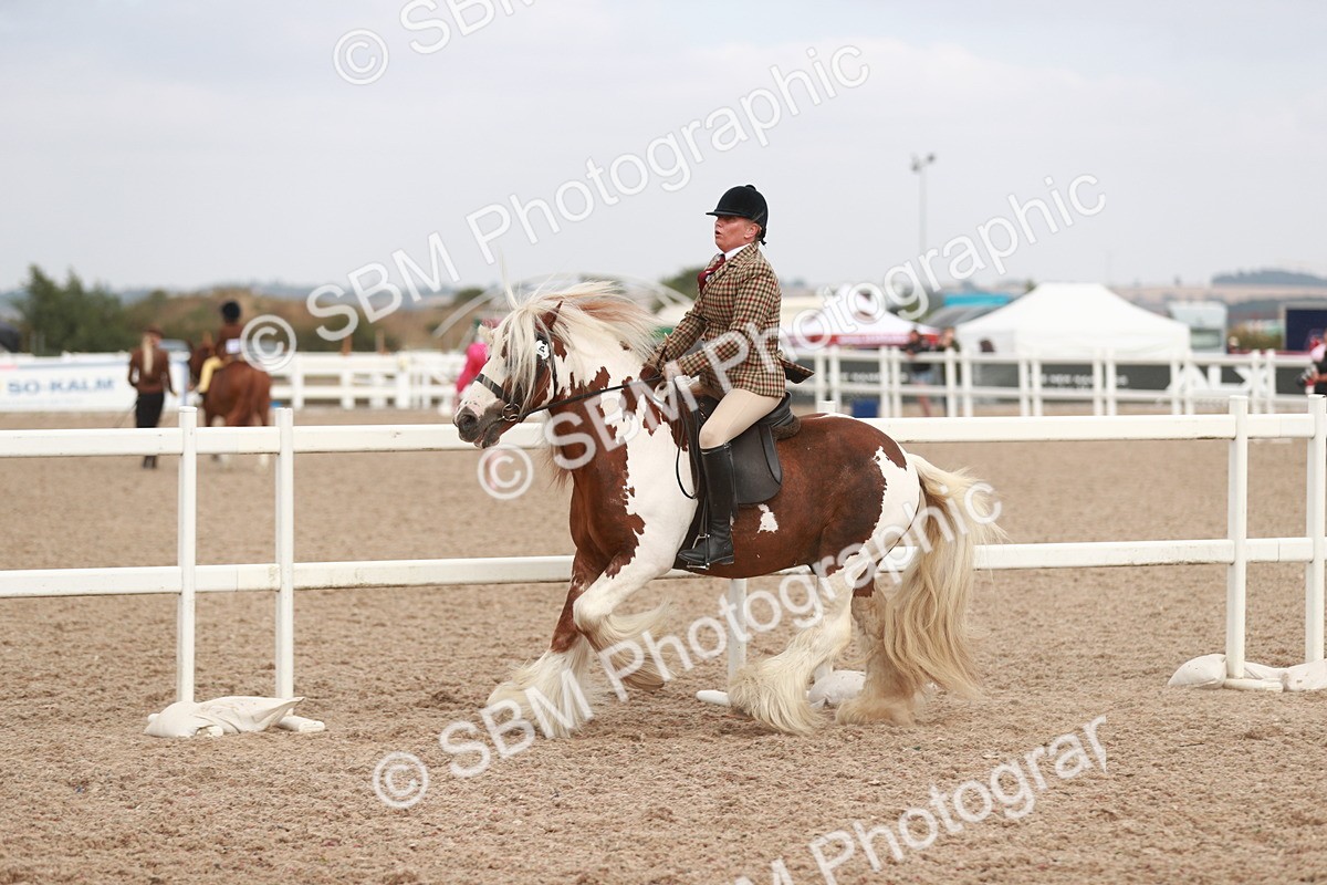 SBM_16695 - Class 214 Ridden Cob