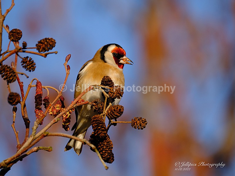  - Wildlife and Nature