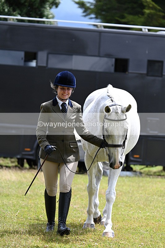 WJ7_6921 - Class 5a Most Handsome Gelding in Hand