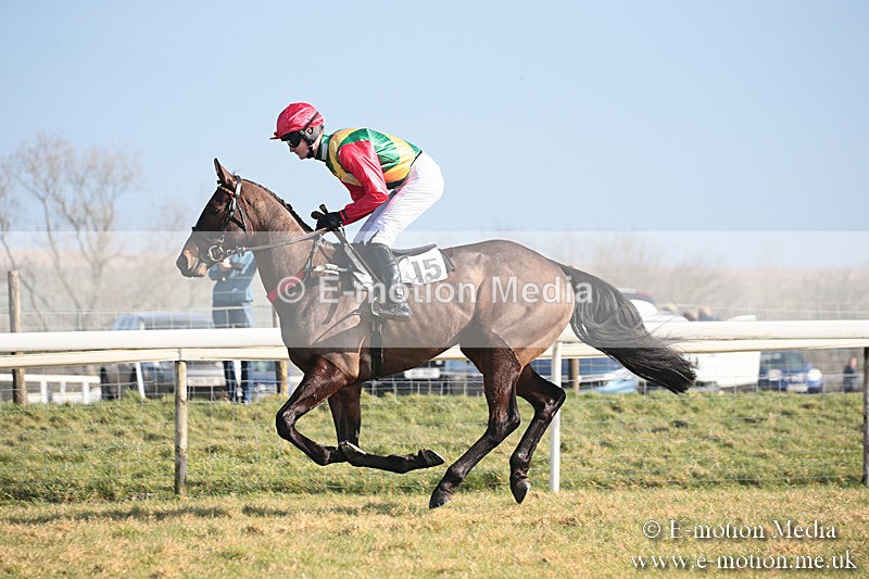 PtP 230219 31 - Vine & Craven Point-To-Point - Barbury 23/02/19