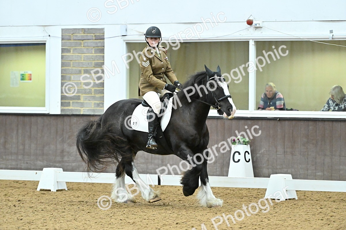 SBM_007458 - Class 81 - Novice 3