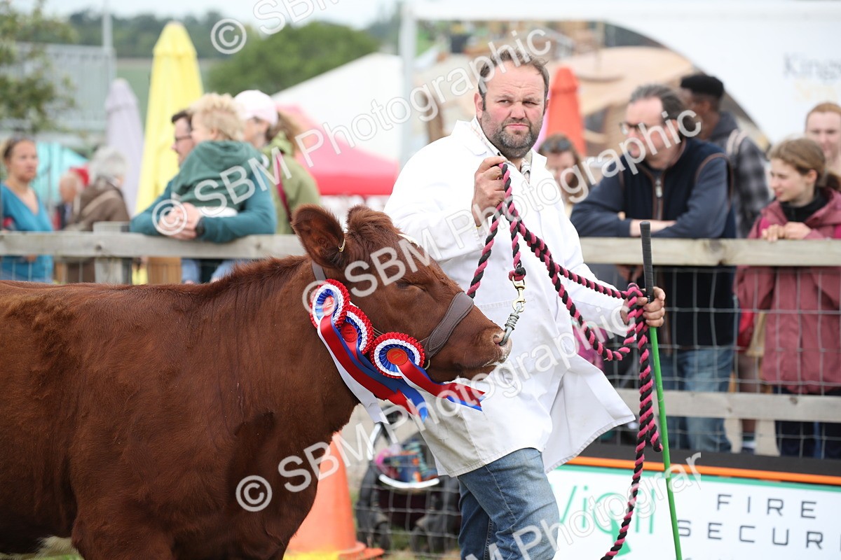 SBM_07841 - Grand Parade