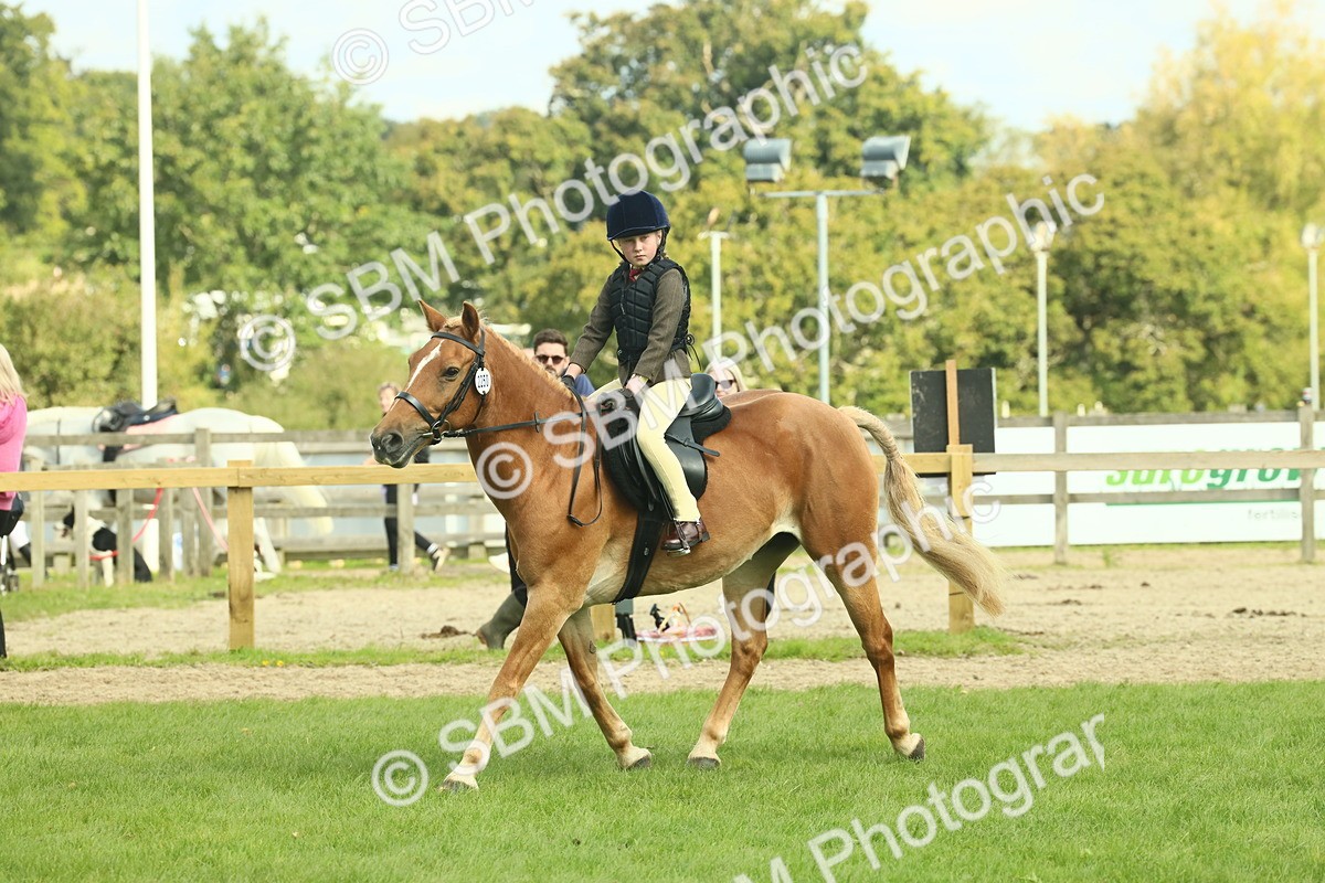 SBM_62492 - S62 - Foreign Breeds Ridden