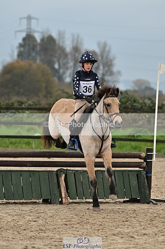 241110-155215-01333 - 80-85cm Arena Eventing