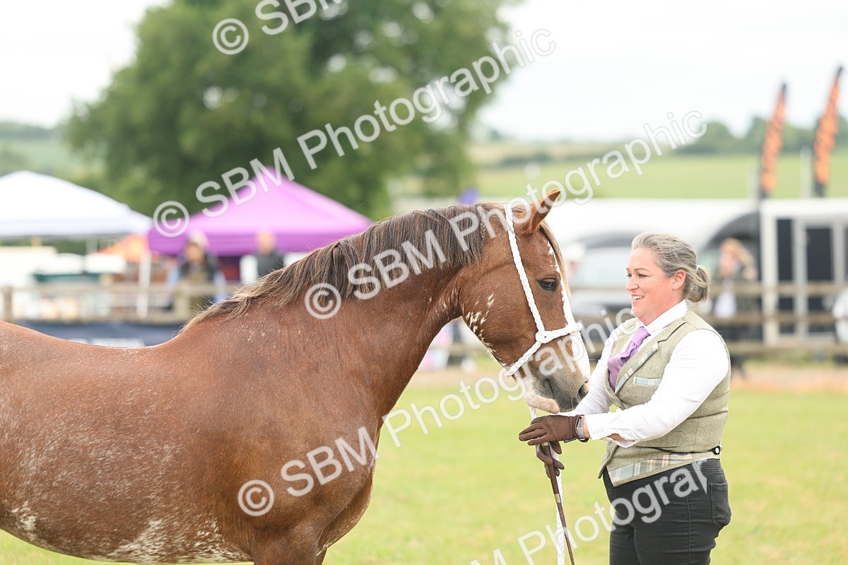 SBM_02398 - Class 50-57 - M&M Welsh Pony In Hand