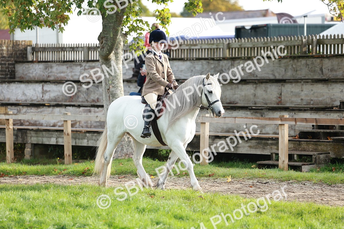 SBM_56349 - S39 - Starters In Hand Showing