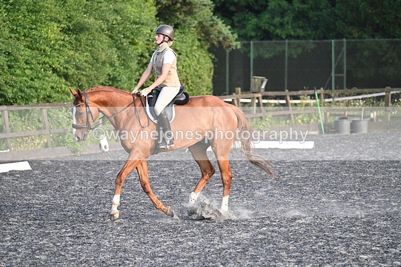 WJ7_0328 - Time 19:38 to 20:00