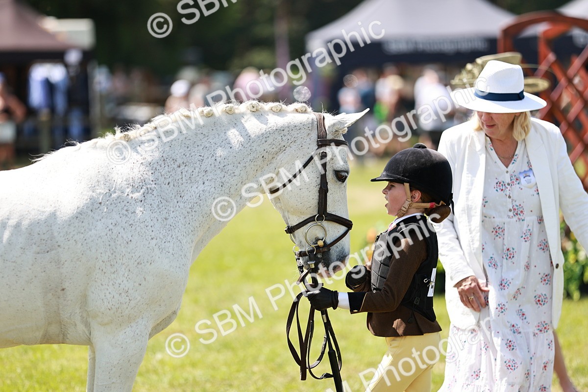 SBM_15657 - Class 108-109 - BSPS LIHS Open Gradle & Nursery Stakes