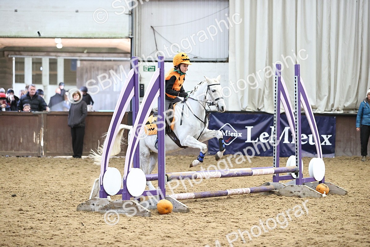 SBM_001358 - Class 3 - Horse & Hound 60cm