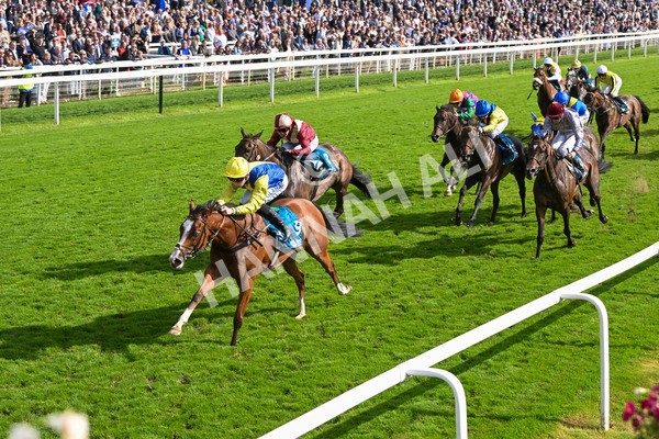 230824-Race 5-Canoodled-9748 - Race 5 4.10pm Assured Data Protection EBF Fillies' Handicap