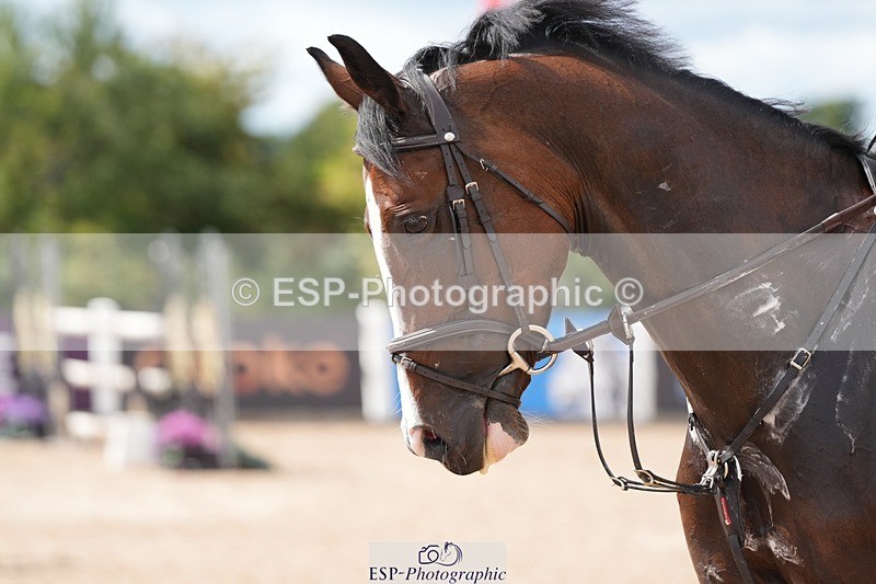 250731-150352-02061 - Cls 11 A&B 1.10cm Nat Am & 1.10 Open