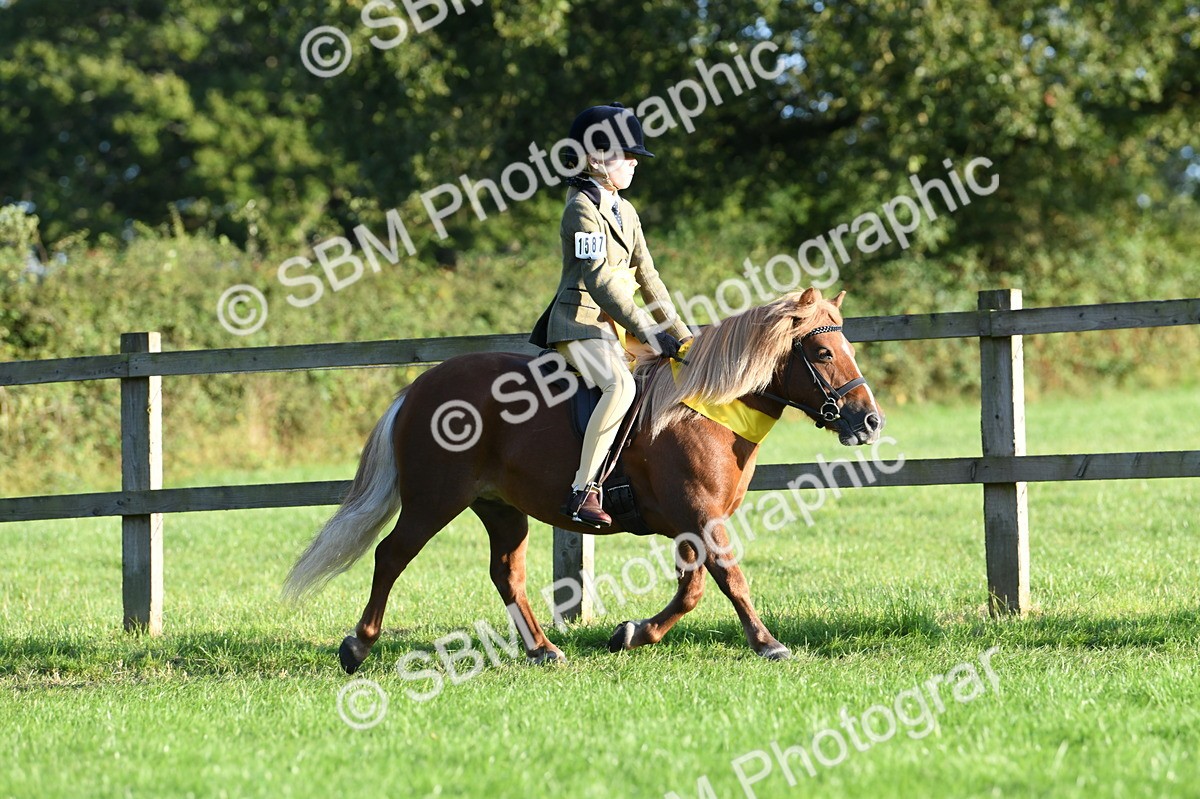 SBM_56400 - 1st Ridden Supreme Championship