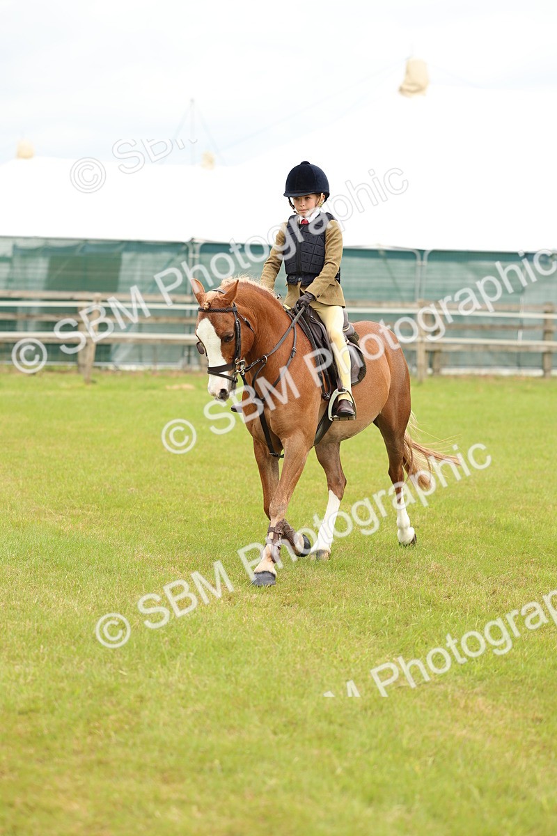 SBM_10245 - Class 44-45 - LIHS BSPS Open Nursery and Cradle Stakes