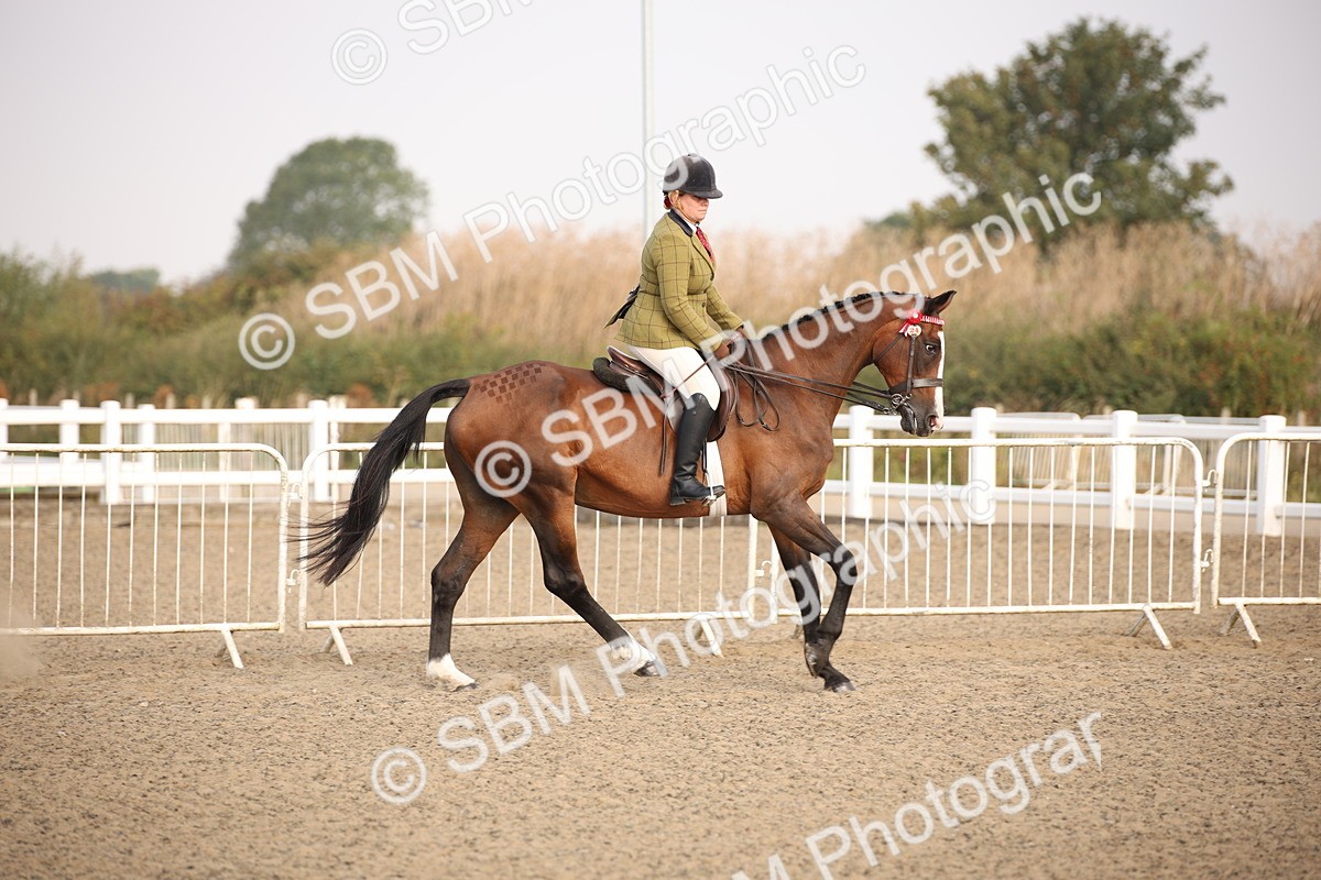 SBM_10258 - Class 402 Riding Club Horse