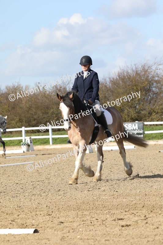 20260314-4988 - CT6 - Elementary 1