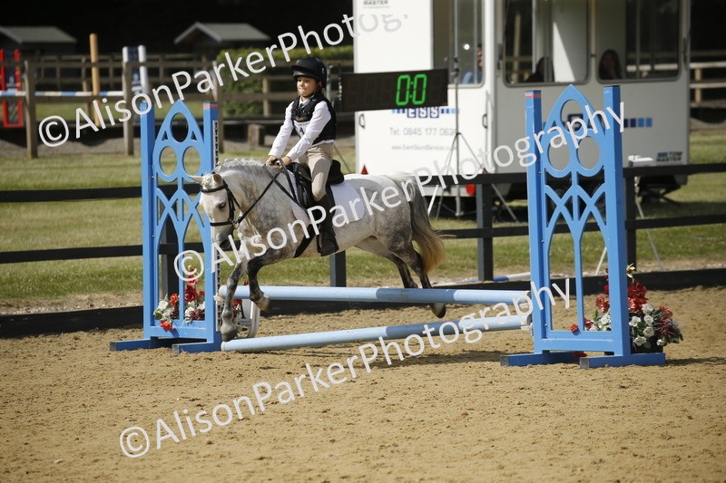 20250622-3769 - 50cm