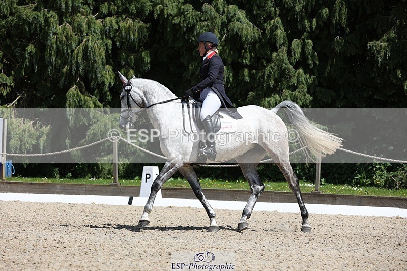 230526-133251-06344 - 366-KILMINGTON_FOLLY-Kristina_Cook-WEDTrotUp+DR