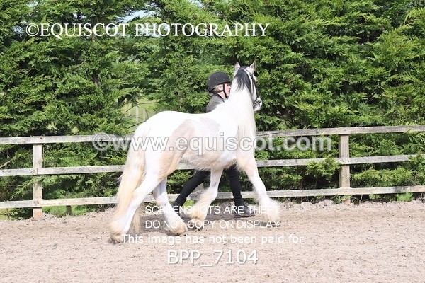 BPP_7104 - RING 1  (RIDDEN HORSES / IN HAND / VETERAN ETC)