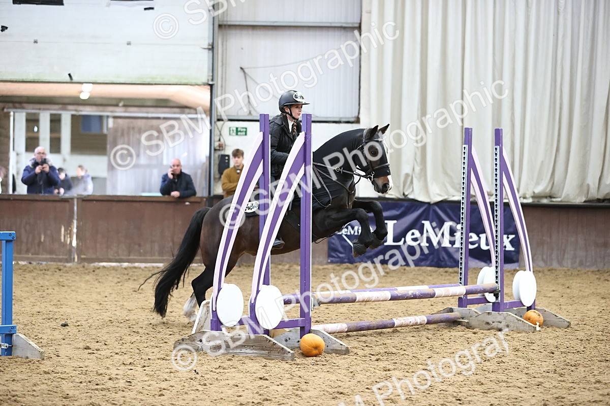 SBM_001302 - Class 3 - Horse & Hound 60cm