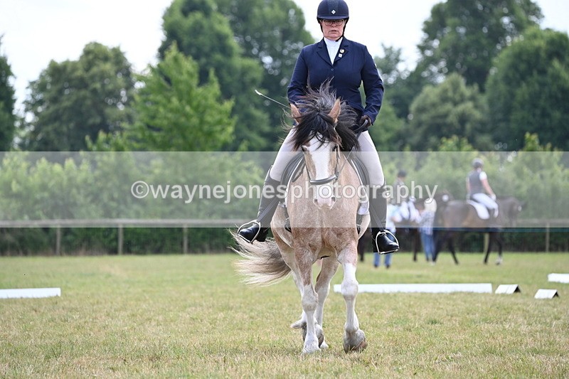 WJ6_7384 - Time 12:25 to 12:56