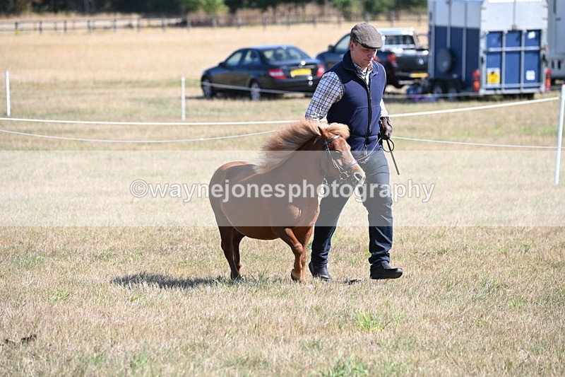 WJ6_4614 - Class 17 Mountain & Moorland