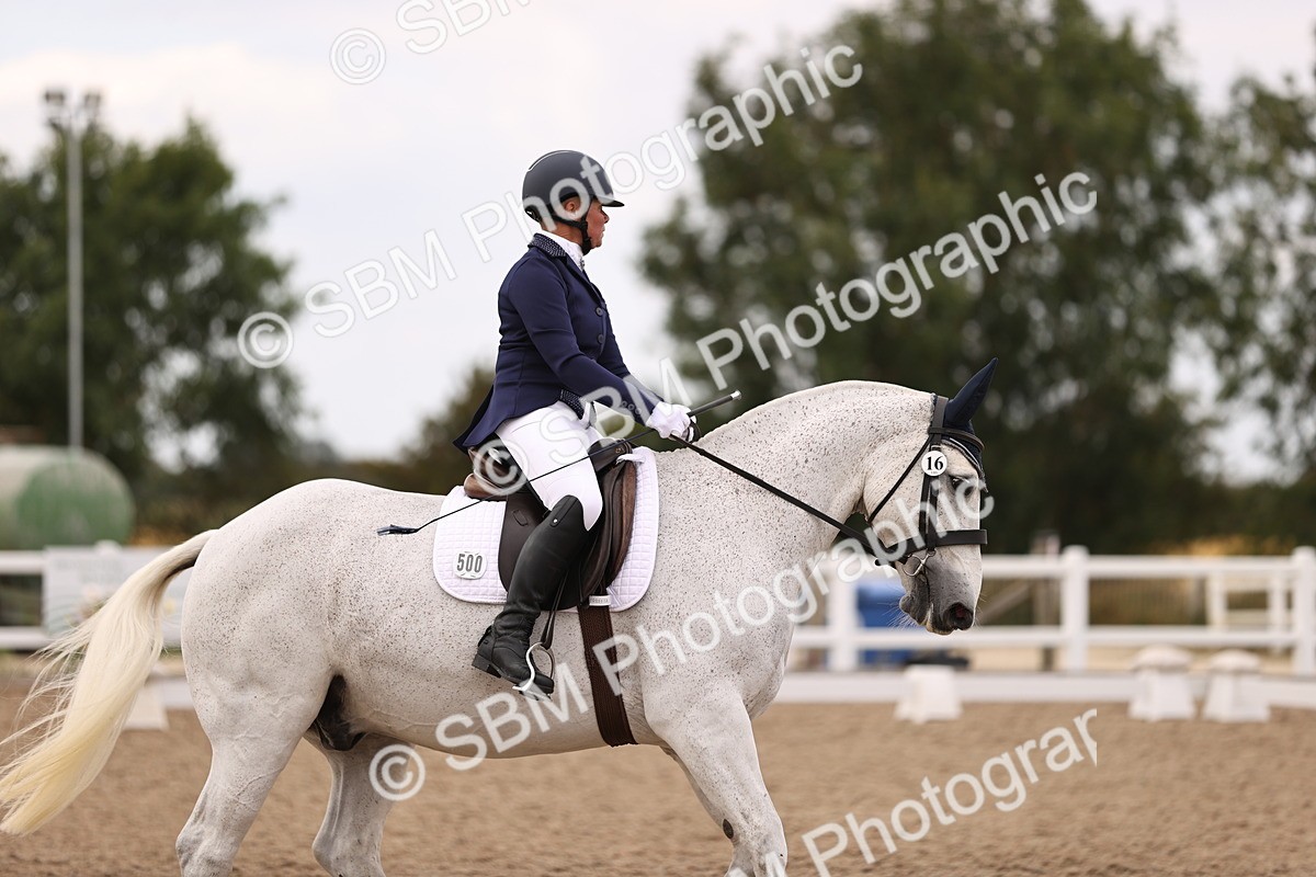 SBM_05933 - Class 37 Novice 5